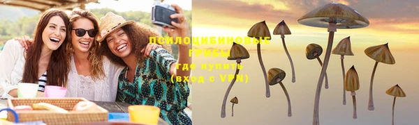 амф Бронницы