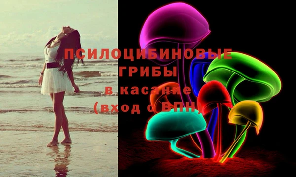амф Бронницы