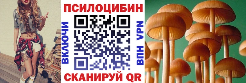 Псилоцибиновые грибы Magic Shrooms  Архангельск 